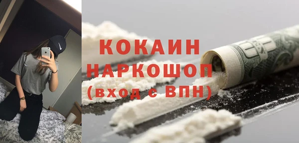 сатива Арсеньев