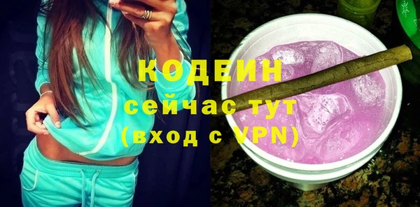 сатива Арсеньев